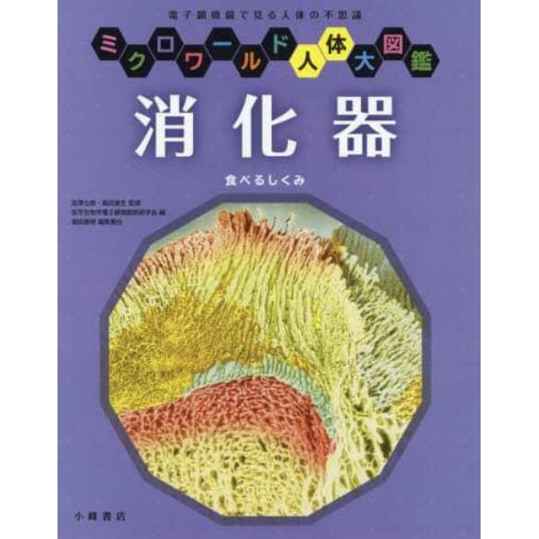 消化器　食べるしくみ　電子顕微鏡で見る人体の不思議