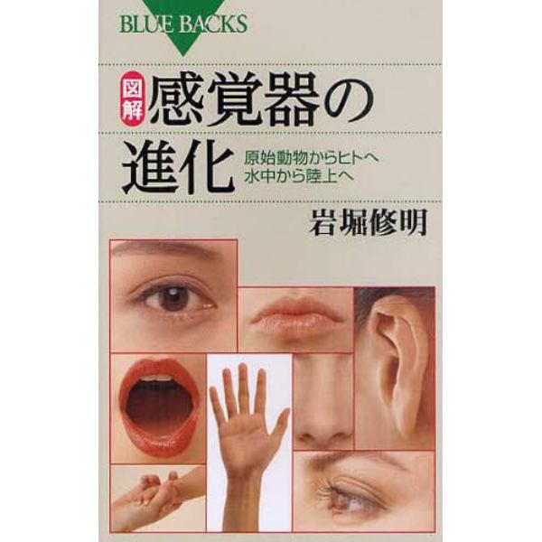 図解・感覚器の進化　原始動物からヒトへ水中から陸上へ