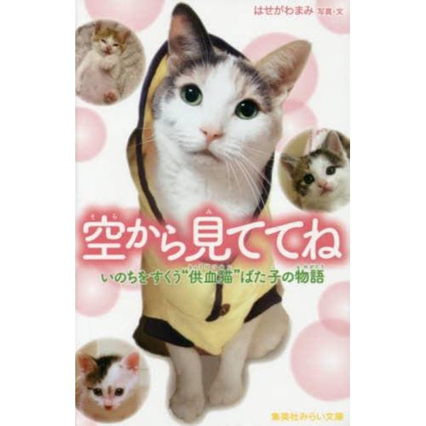 空から見ててね　いのちをすくう“供血猫”ばた子の物語