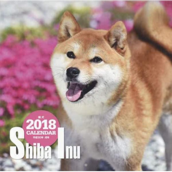 カレンダー　’１８　柴犬