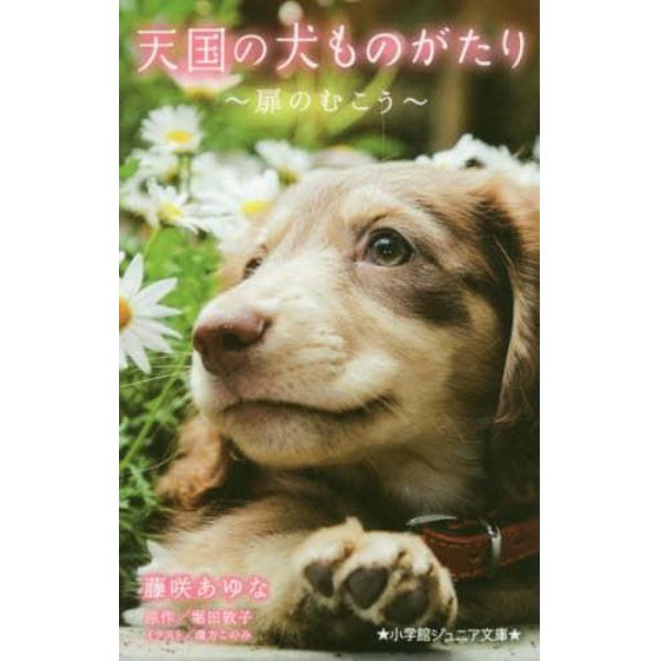 天国の犬ものがたり　〔１０〕