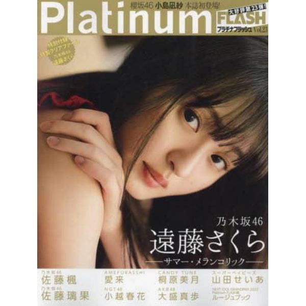 Ｐｌａｔｉｎｕｍ　ＦＬＡＳＨ　Ｖｏｌ．２３