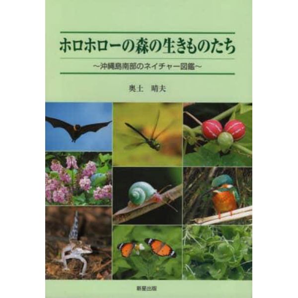 ホロホローの森の生きものたち　沖縄島南部