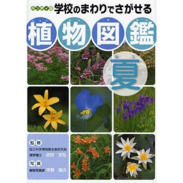 学校のまわりでさがせる植物図鑑　ハンディ版　夏