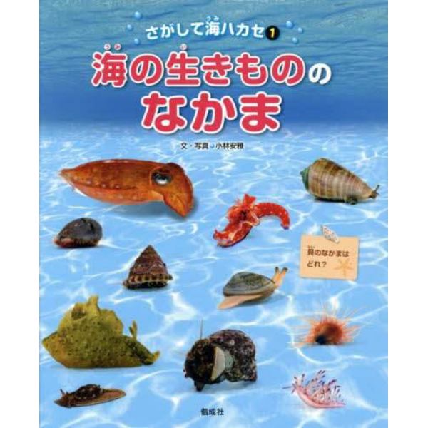 さがして海ハカセ　１