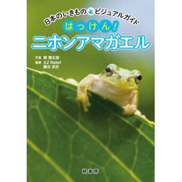 はっけん！ニホンアマガエル