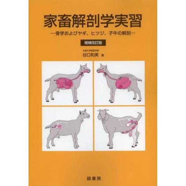 家畜解剖学実習　骨学およびヤギ、ヒツジ、子牛の解剖