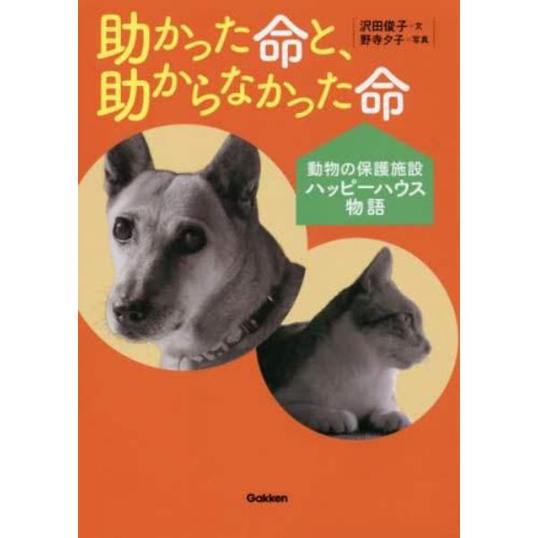 助かった命と、助からなかった命　動物の保護施設ハッピーハウス物語