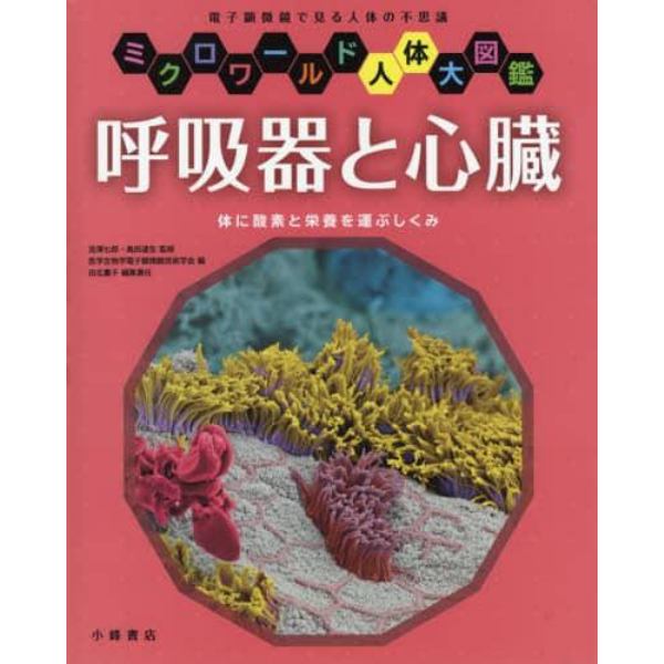 呼吸器と心臓　体に酸素と栄養を運ぶしくみ　電子顕微鏡で見る人体の不思議