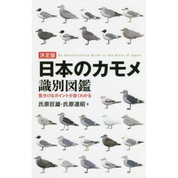 日本のカモメ識別図鑑　決定版　見分けるポイントが良くわかる