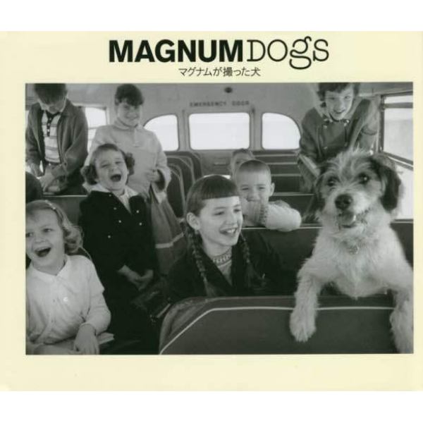 ＭＡＧＮＵＭ　ＤＯＧＳ　マグナムが撮った犬