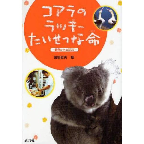 コアラのラッキーたいせつな命　動物たちのＳＯＳ