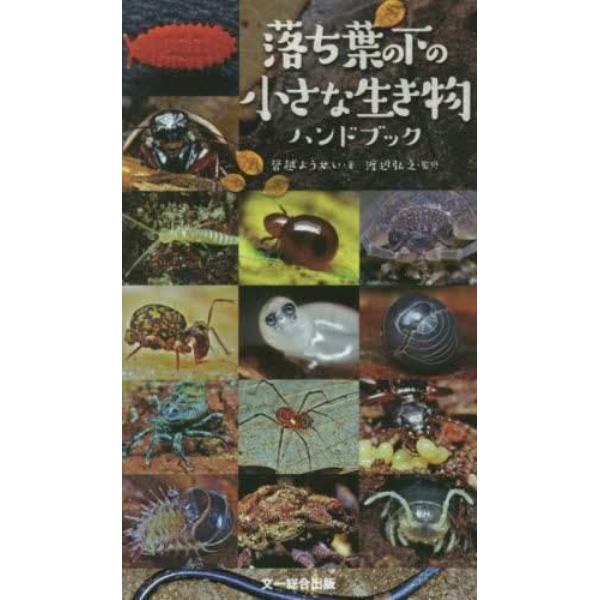 落ち葉の下の小さな生き物ハンドブック