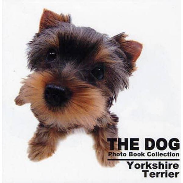 ＴＨＥ　ＤＯＧ　Ｐｈｏｔｏ　Ｂｏｏｋ　Ｃｏｌｌｅｃｔｉｏｎ　Ｙｏｒｋｓｈｉｒｅ　Ｔｅｒｒｉｅｒ