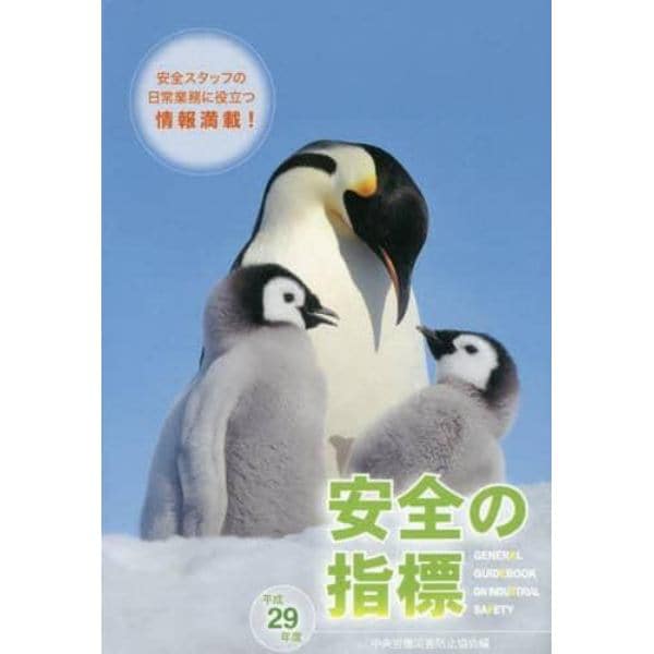 安全の指標　平成２９年度