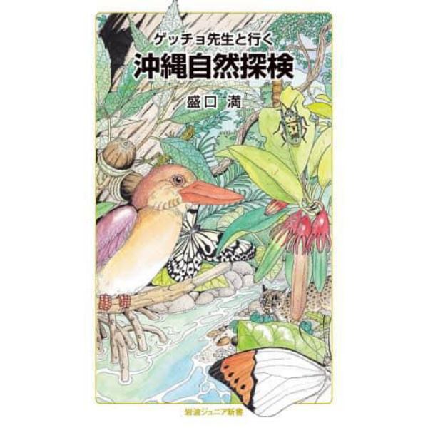 ゲッチョ先生と行く沖縄自然探検