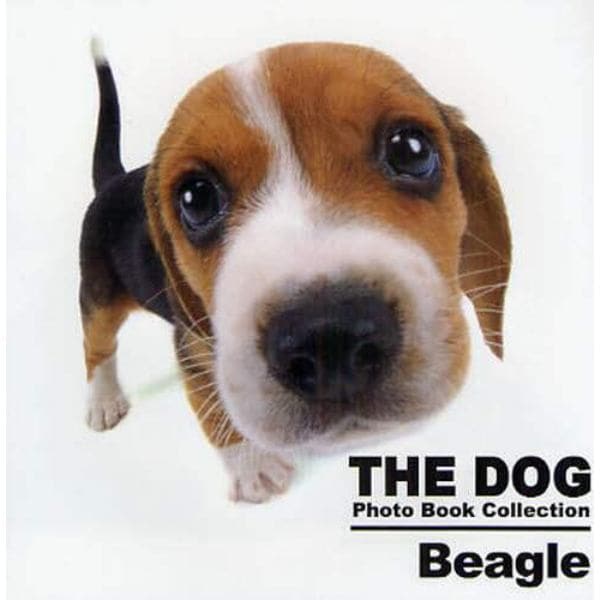 ＴＨＥ　ＤＯＧ　Ｐｈｏｔｏ　Ｂｏｏｋ　Ｃｏｌｌｅｃｔｉｏｎ　Ｂｅａｇｌｅ