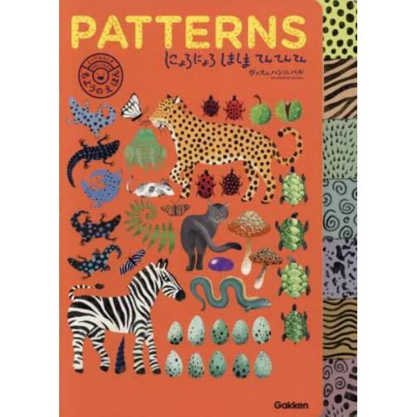 ＰＡＴＴＥＲＮＳにょろにょろしましまてんてんてん　とってもふしぎさがしてみよう　もようのえほん