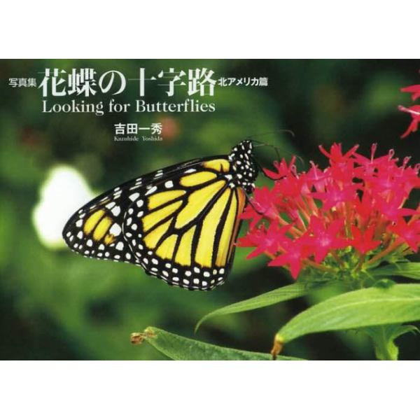 花蝶の十字路　Ｌｏｏｋｉｎｇ　ｆｏｒ　Ｂｕｔｔｅｒｆｌｉｅｓ　北アメリカ篇　写真集