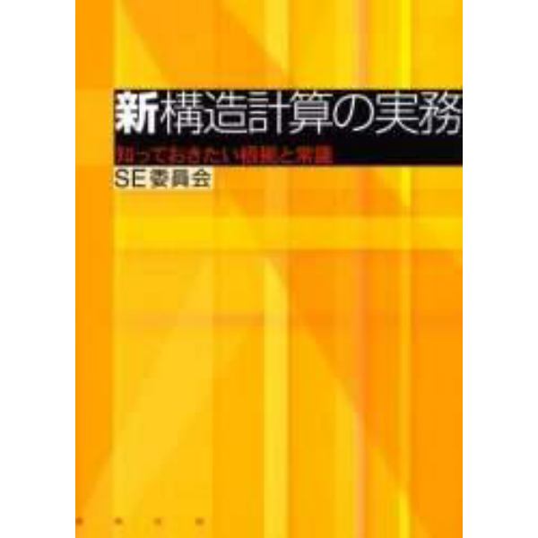 新構造計算の実務　知っておきたい根拠と常識