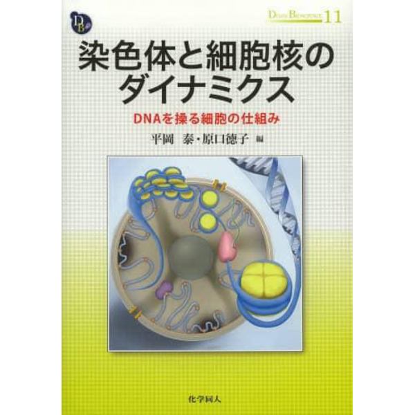 染色体と細胞核のダイナミクス　ＤＮＡを操る細胞の仕組み