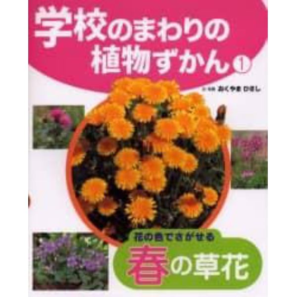 学校のまわりの植物ずかん　１