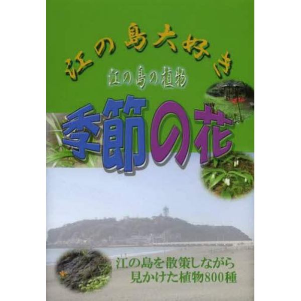 江の島大好き江の島の植物季節の花　江の島を散策しながら見かけた植物８００種