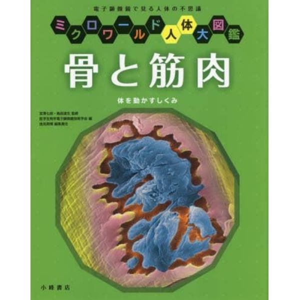 骨と筋肉　体を動かすしくみ　電子顕微鏡で見る人体の不思議