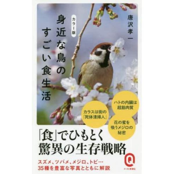 身近な鳥のすごい食生活　カラー版