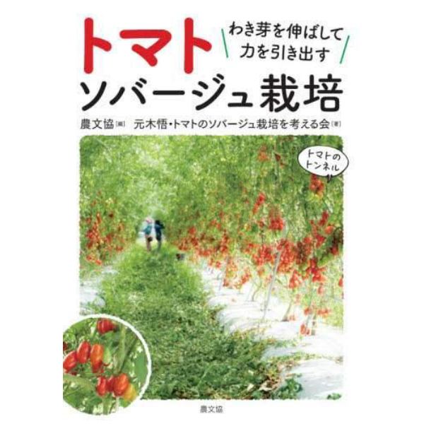 トマトソバージュ栽培　わき芽を伸ばして力を引き出す