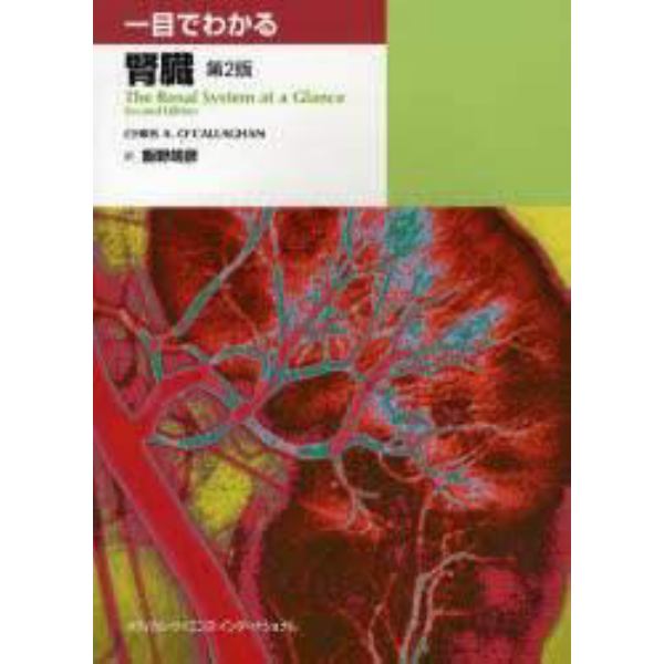 一目でわかる腎臓