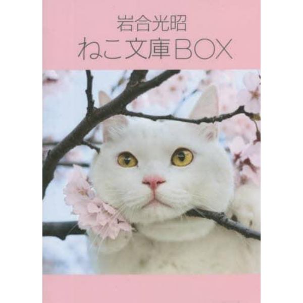 岩合光昭ねこ文庫ＢＯＸ　６巻セット