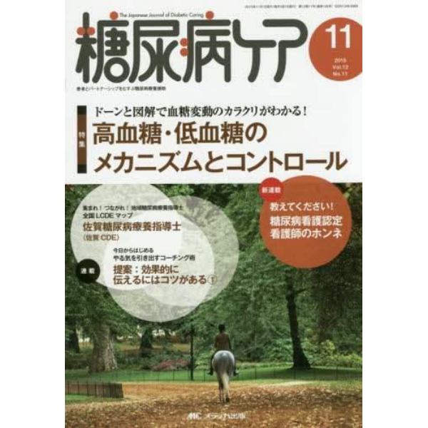 糖尿病ケア　患者とパートナーシップをむすぶ糖尿病療養援助　Ｖｏｌ．１２Ｎｏ．１１（２０１５－１１）