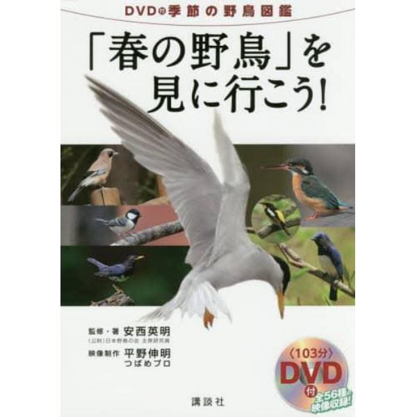 「春の野鳥」を見に行こう！　ＤＶＤ付季節の野鳥図鑑