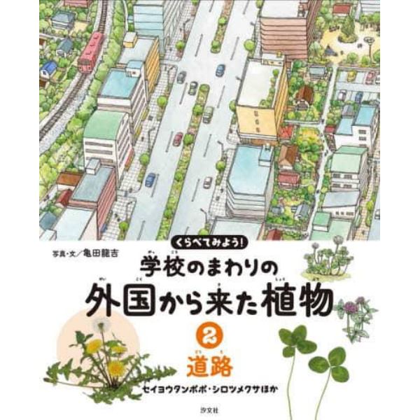 くらべてみよう！学校のまわりの外国から来た植物　２