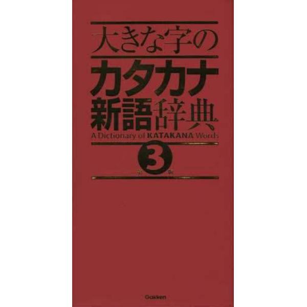 大きな字のカタカナ新語辞典