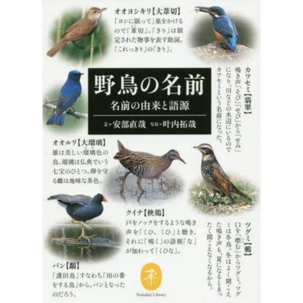 野鳥の名前　名前の由来と語源