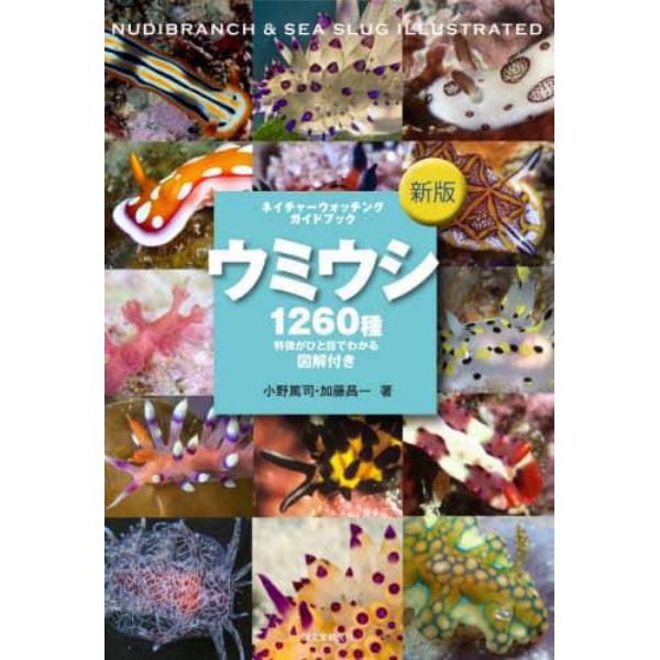 ウミウシ　特徴がひと目でわかる図解付き　１２６０種