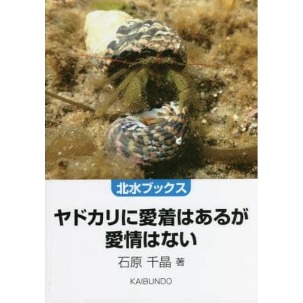 ヤドカリに愛着はあるが愛情はない