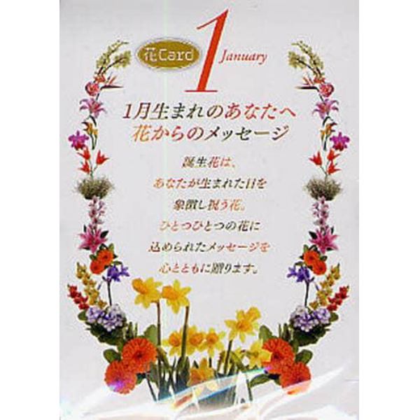 『ミウラ折り』誕生花カード　１月