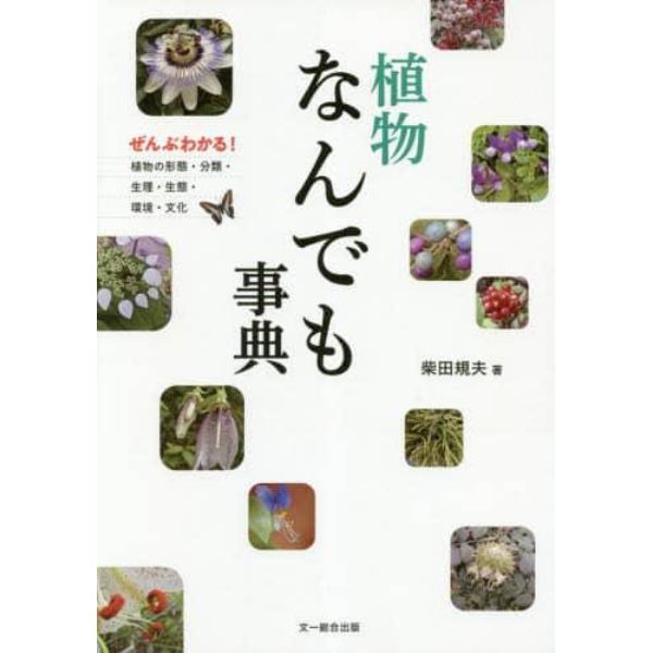 植物なんでも事典　ぜんぶわかる！植物の形態・分類・生理・生態・環境・文化