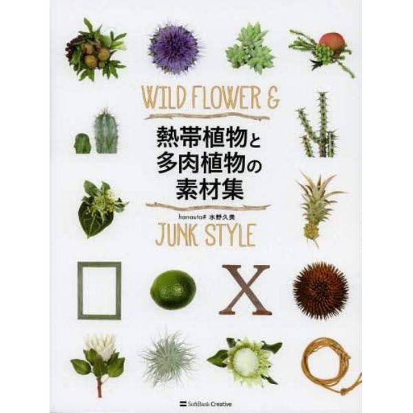 熱帯植物と多肉植物の素材集　ＷＩＬＤ　ＦＬＯＷＥＲ　＆　ＪＵＮＫ　ＳＴＹＬＥ