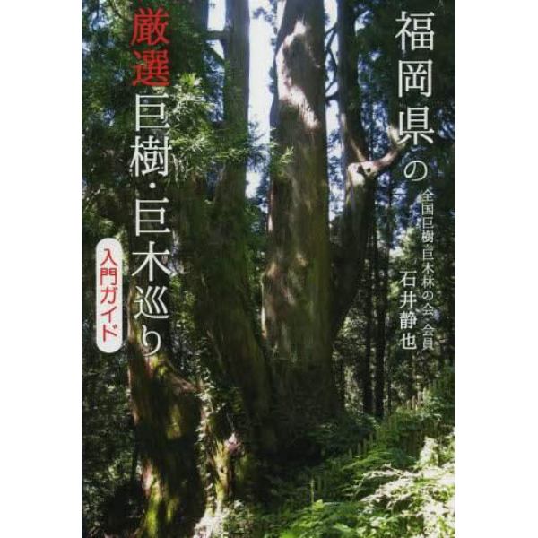 福岡県の厳選巨樹・巨木巡り入門ガイド