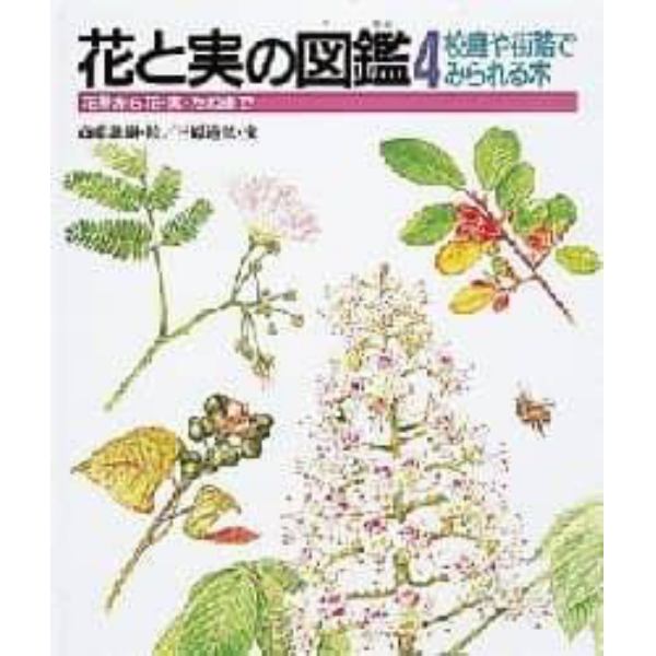 花と実の図鑑　花芽から花・実・たねまで　４