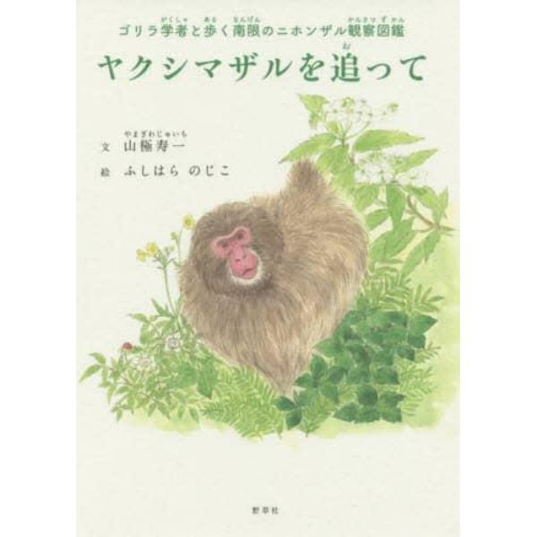 ヤクシマザルを追って　ゴリラ学者と歩く南限のニホンザル観察図鑑