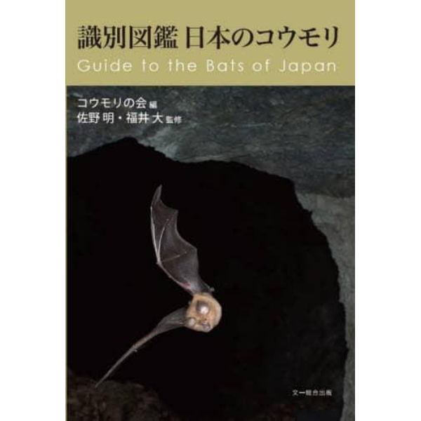 識別図鑑日本のコウモリ