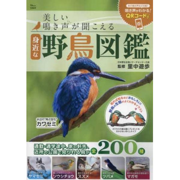 美しい鳴き声が聞こえる身近な野鳥図鑑