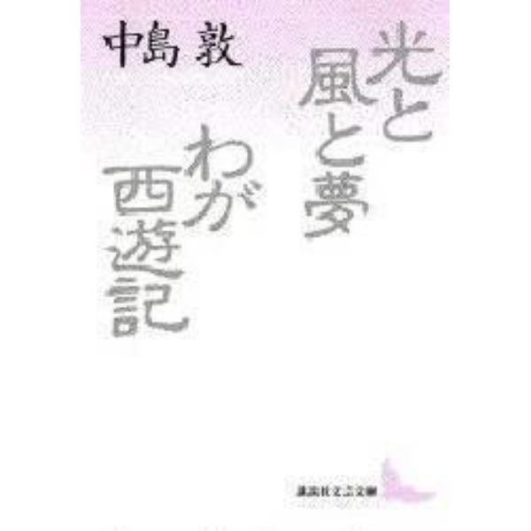 光と風と夢・わが西遊記