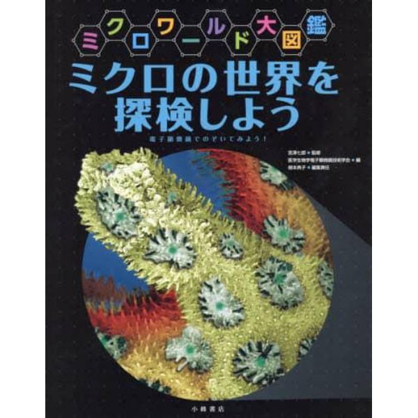 ミクロの世界を探検しよう　電子顕微鏡でのぞいてみよう！