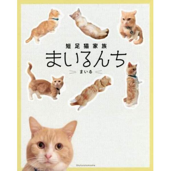 短足猫家族まいるんち